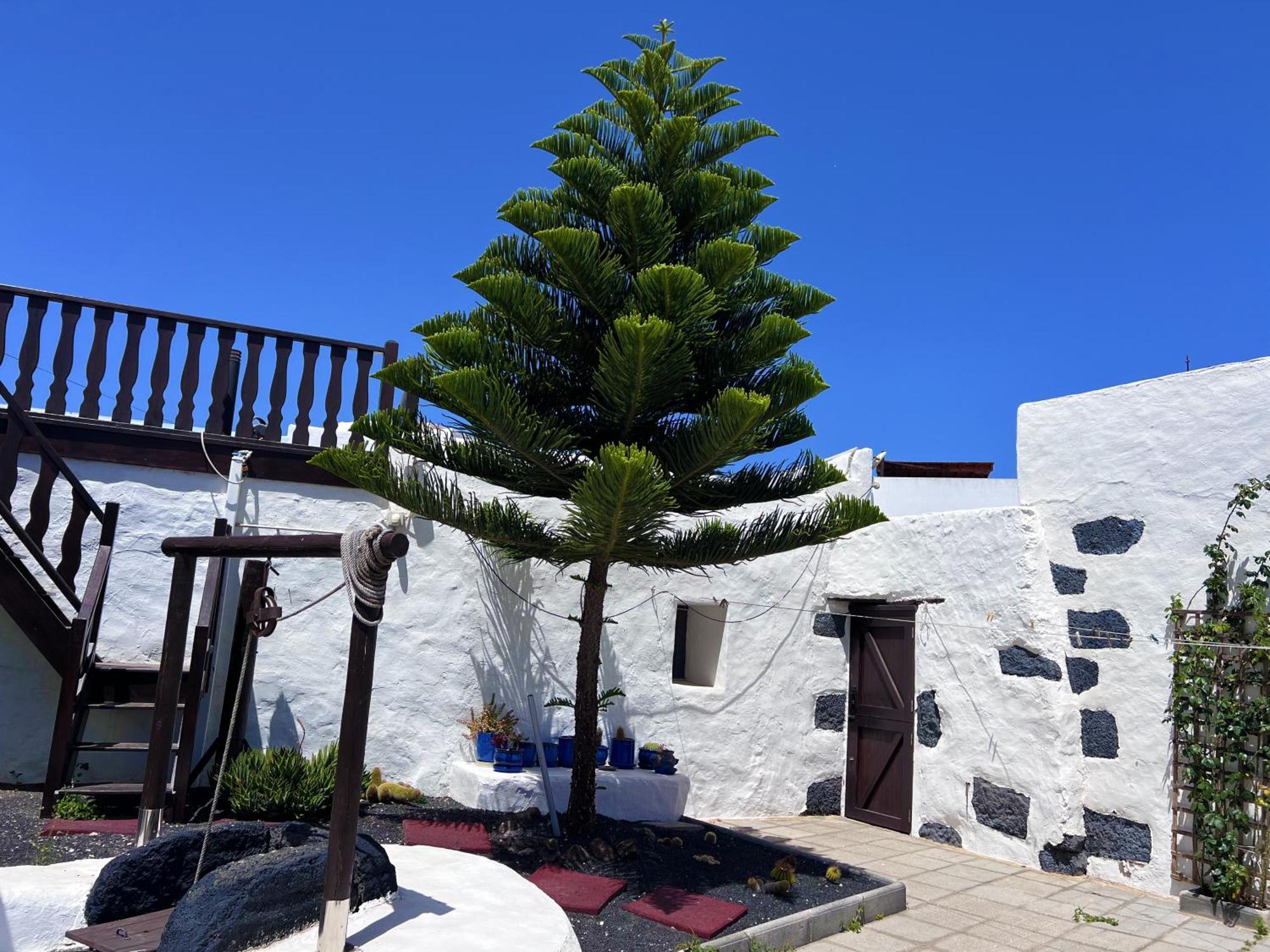 Casa Rural Estilo Canario Villa San Bartolomé Exteriör bild
